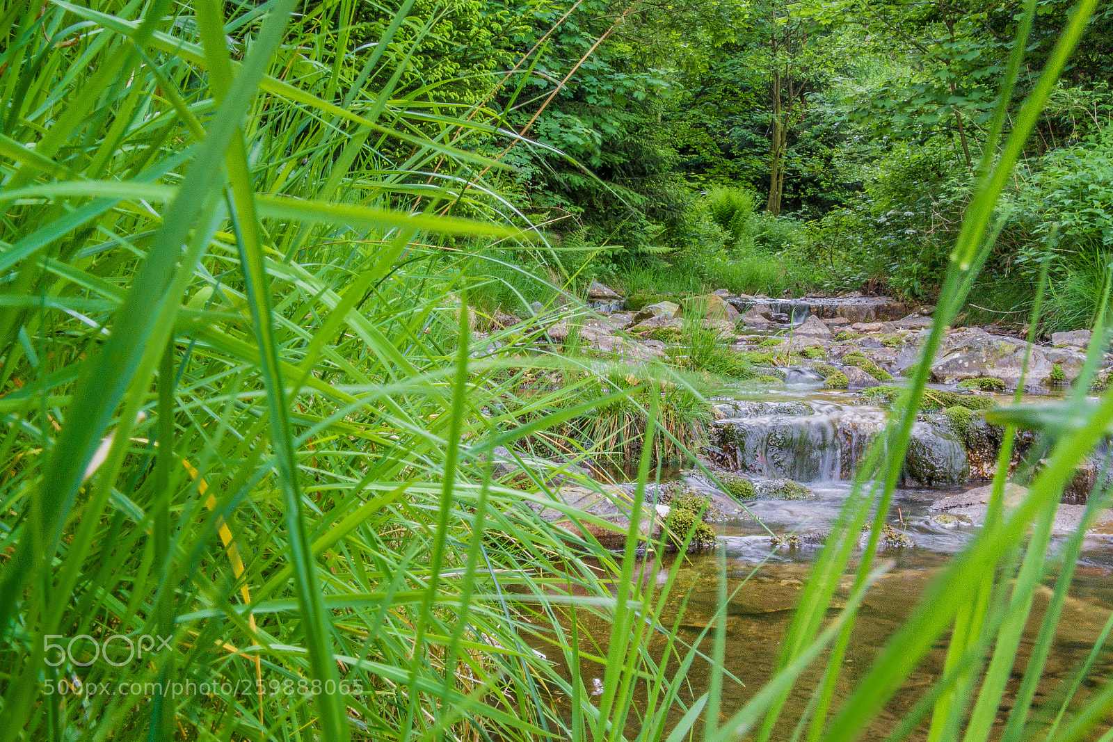 Canon EOS 700D (EOS Rebel T5i / EOS Kiss X7i) sample photo. Altenberg photography