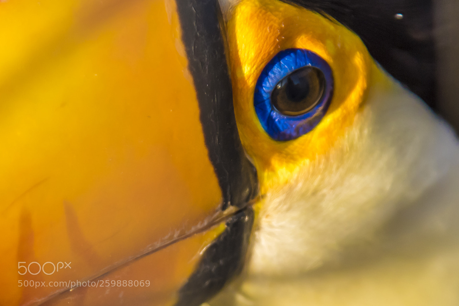 Nikon D810 sample photo. And in your eyes,i photography