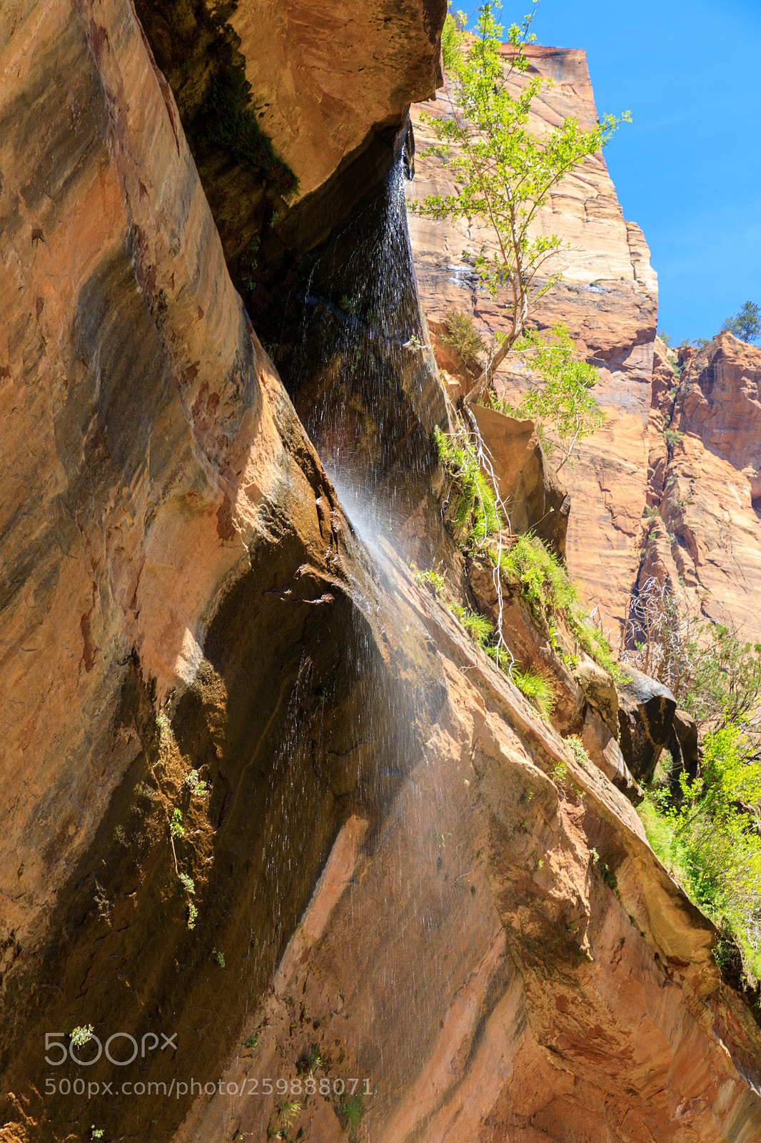 Canon EOS 5D Mark IV sample photo. Zion national park 1249 photography