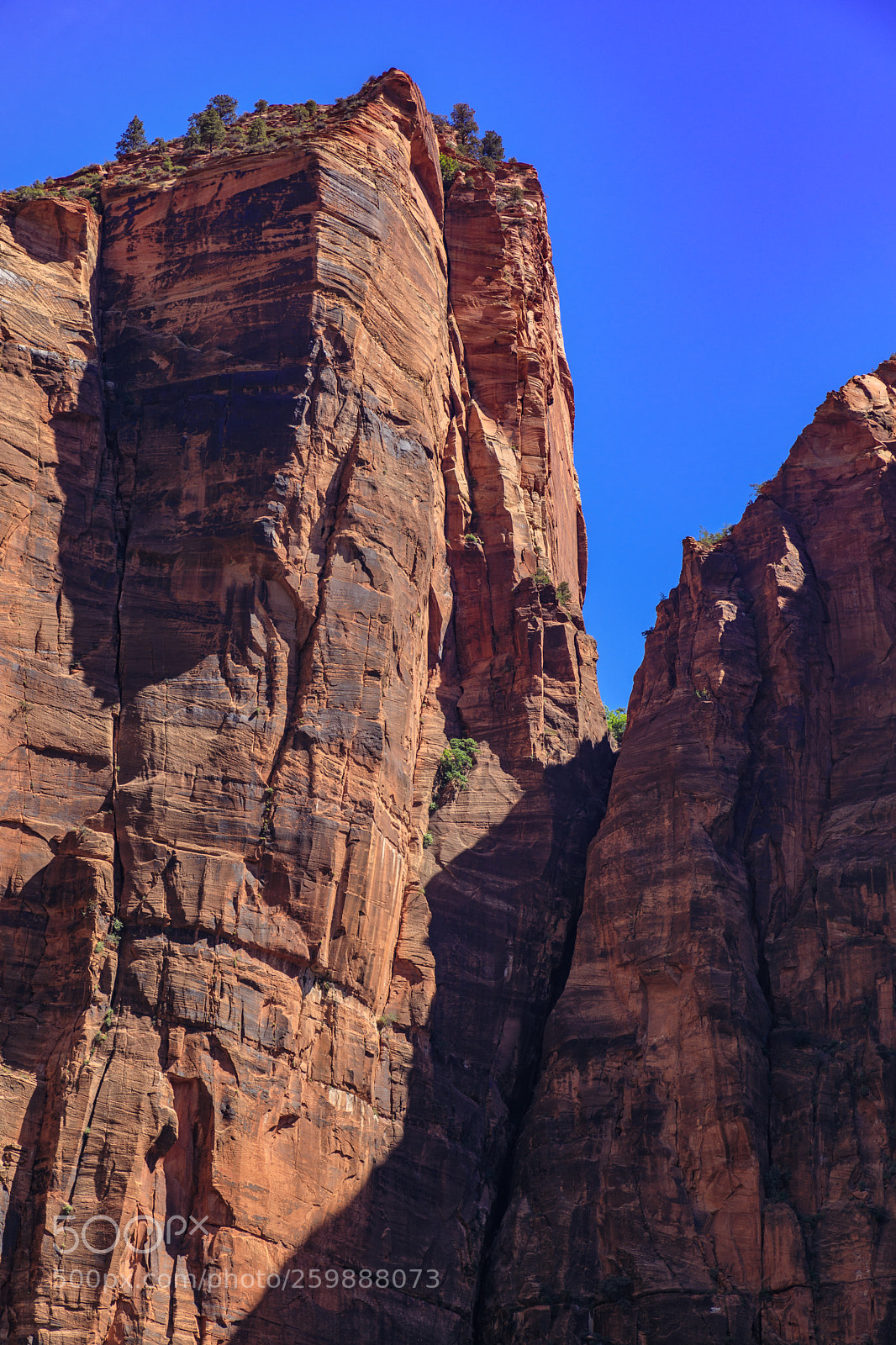 Canon EOS 5D Mark IV sample photo. Zion national park 1216 photography