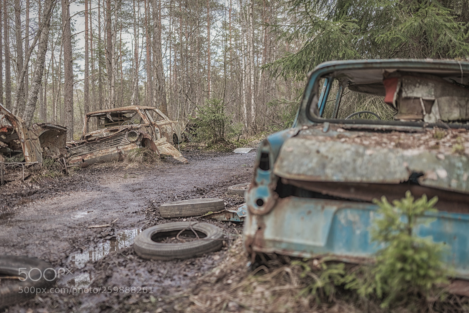 Nikon D750 sample photo. Road rage photography