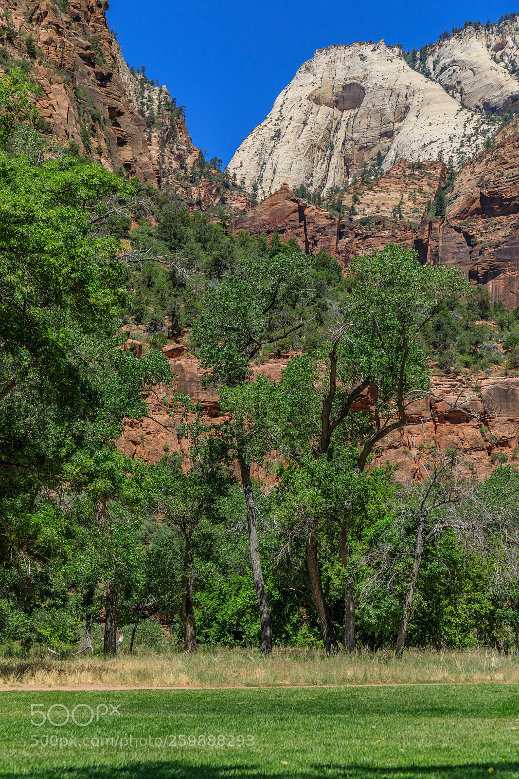 Canon EOS 5D Mark IV sample photo. Zion national park 1270 photography