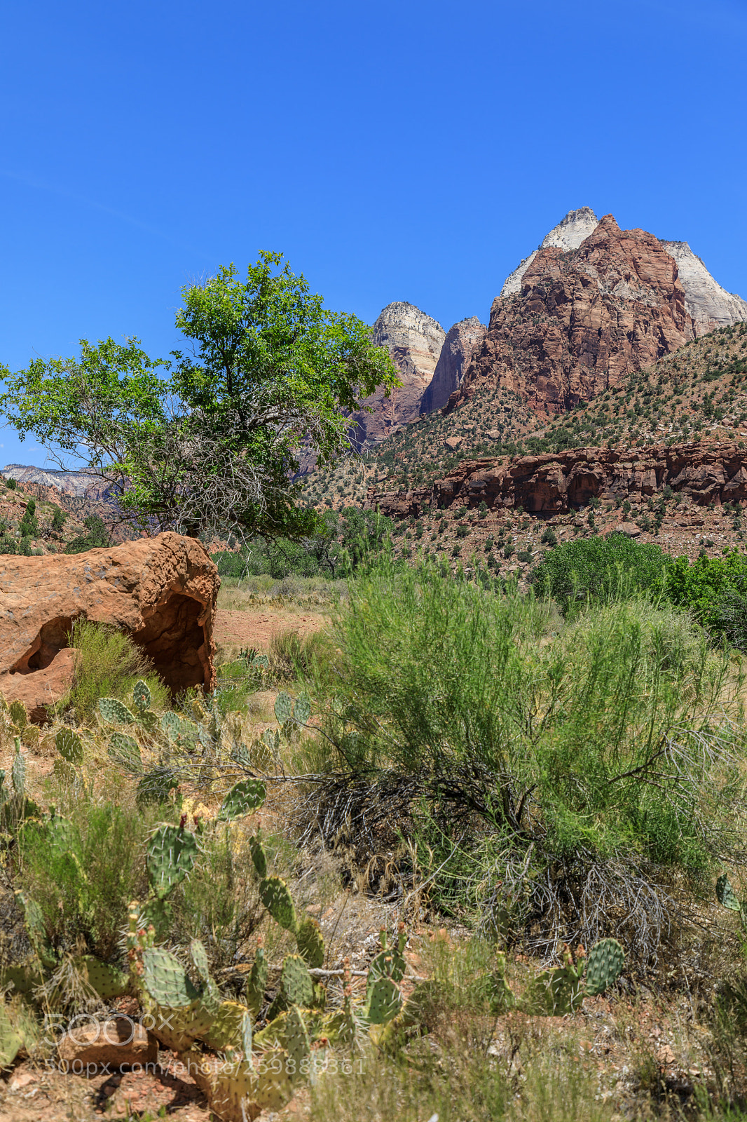 Canon EOS 5D Mark IV sample photo. Zion national park 1289 photography
