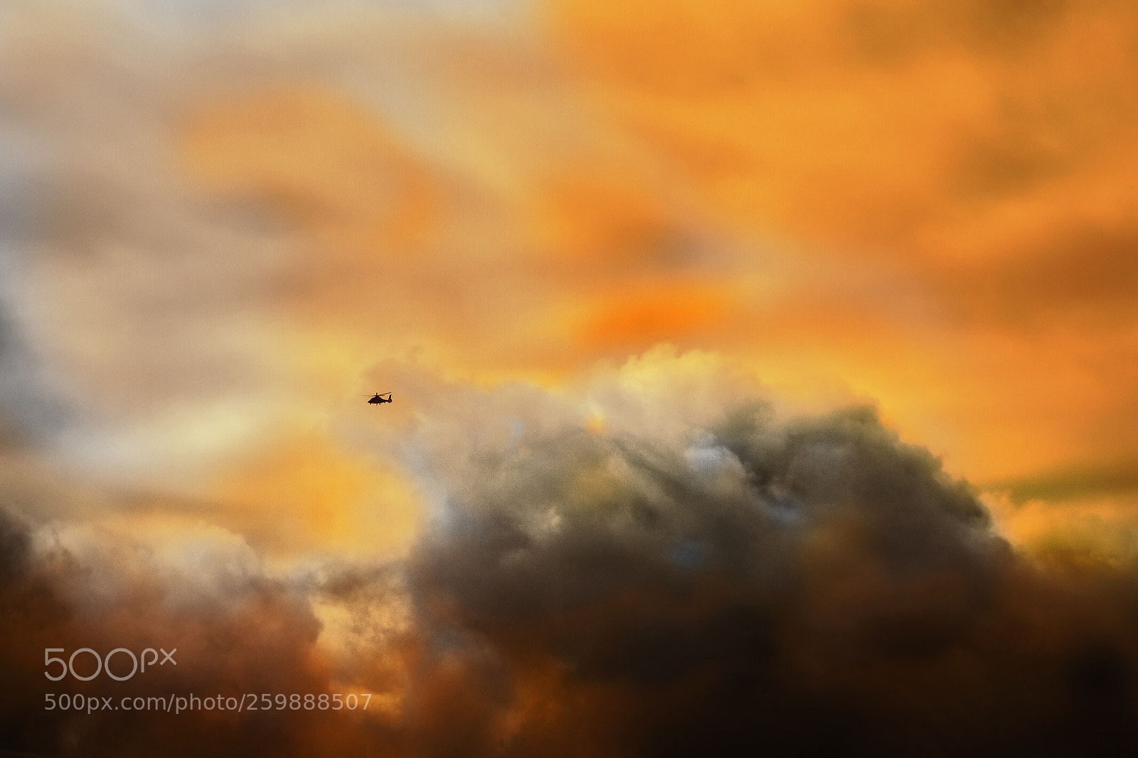 Nikon D810 sample photo. Untitled photography