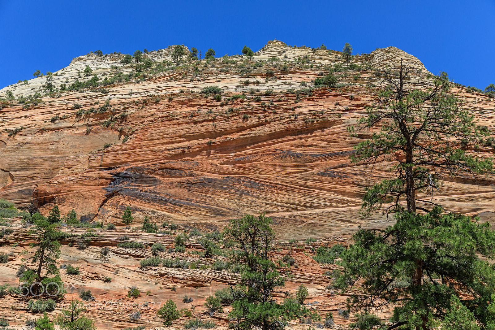 Canon EOS 5D Mark IV sample photo. Zion national park 1294 photography