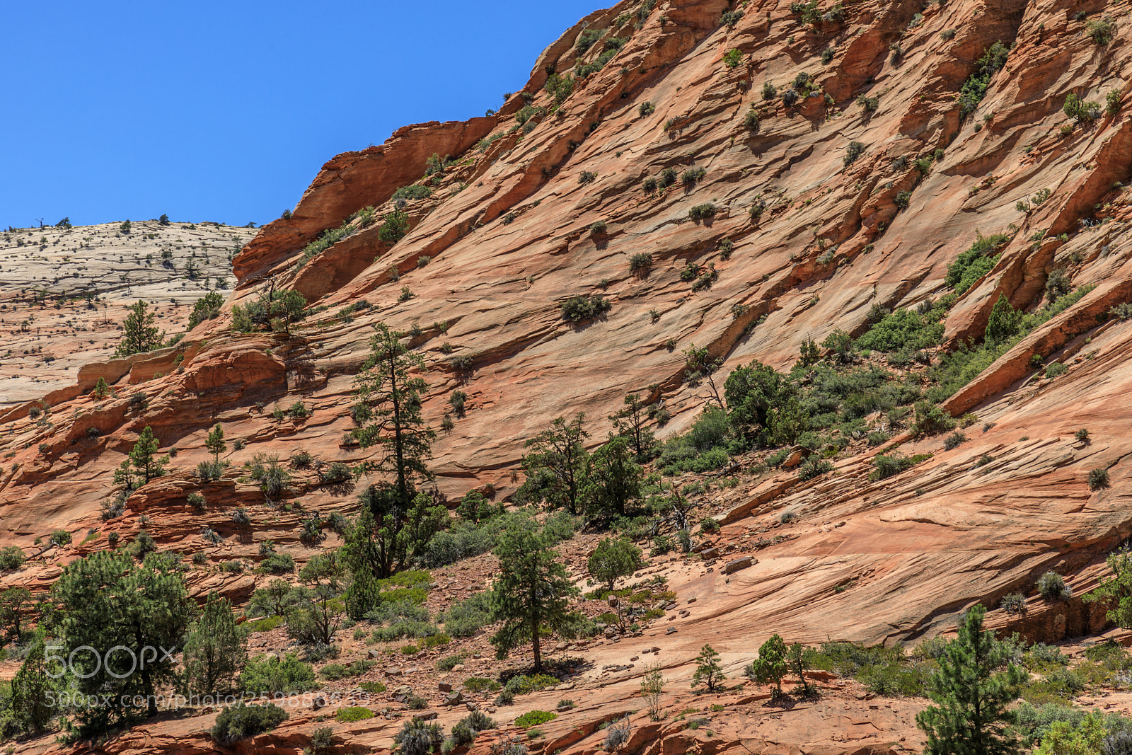 Canon EOS 5D Mark IV sample photo. Zion national park 1297 photography