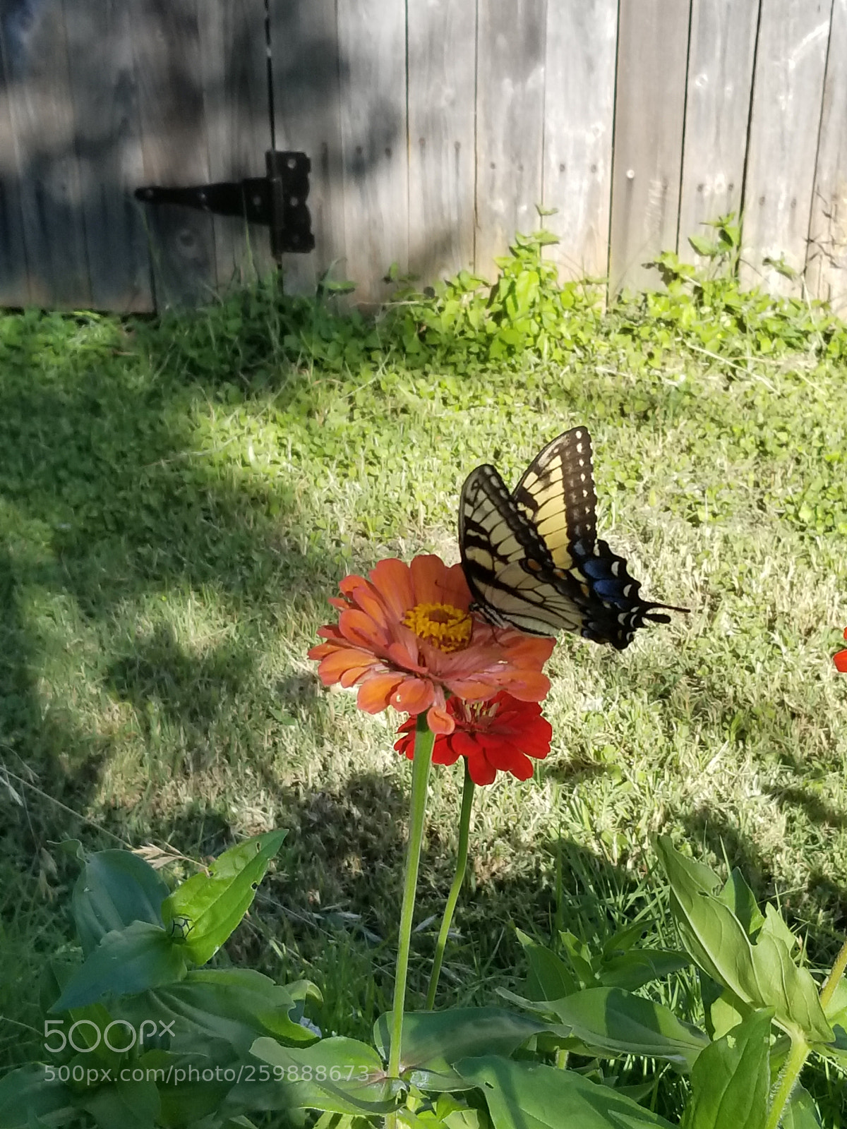 Samsung Galaxy S8+ sample photo. 20170513_175206.jpg photography