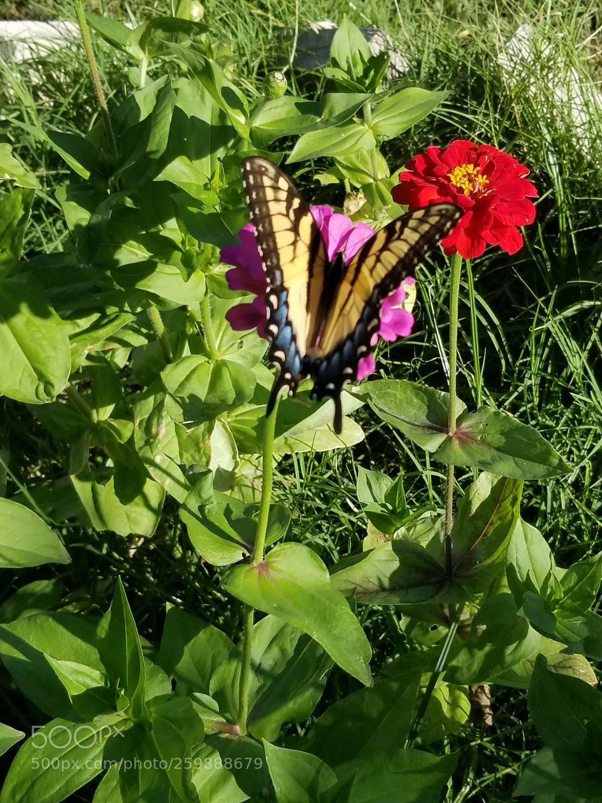 Samsung Galaxy S8+ sample photo. 20170513_175253.jpg photography
