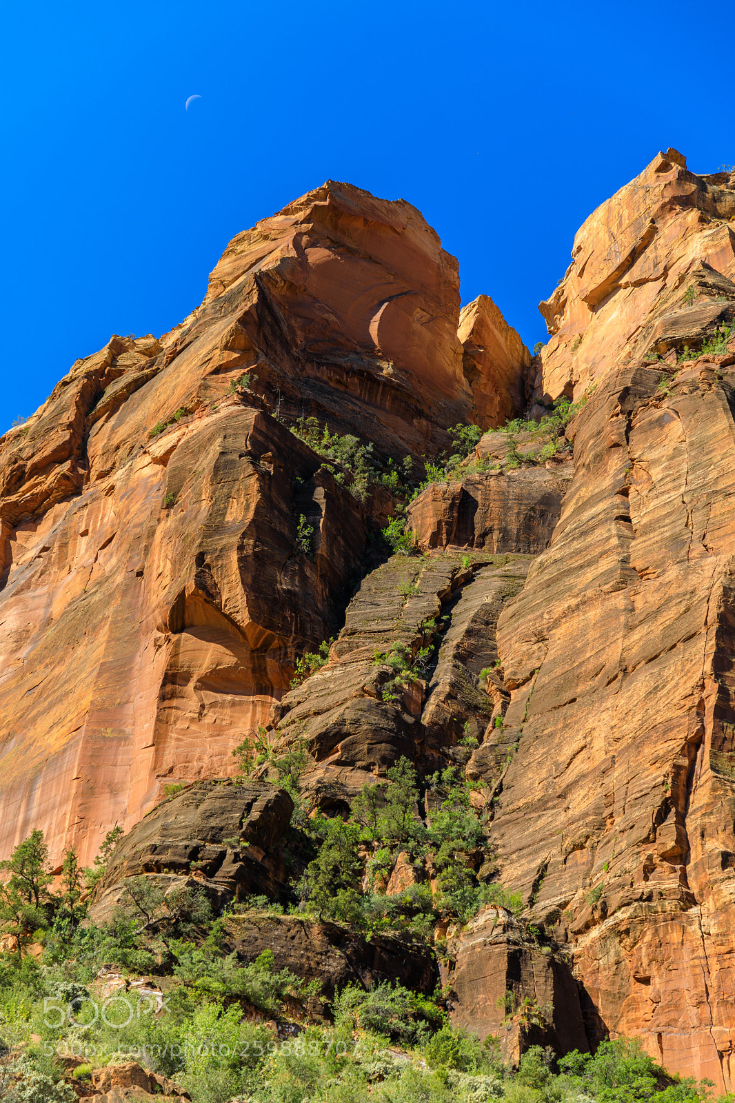 Canon EOS 5D Mark IV sample photo. Zion national park 1331 photography