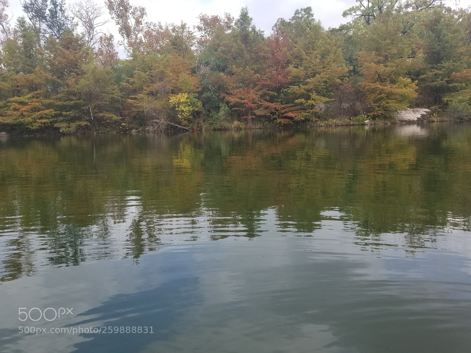 Samsung Galaxy S8+ sample photo. 20171104_134400.jpg photography