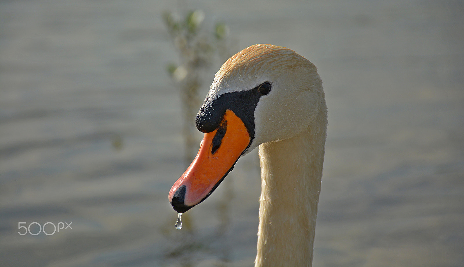 Nikon D5200 sample photo. Too hot!!! photography