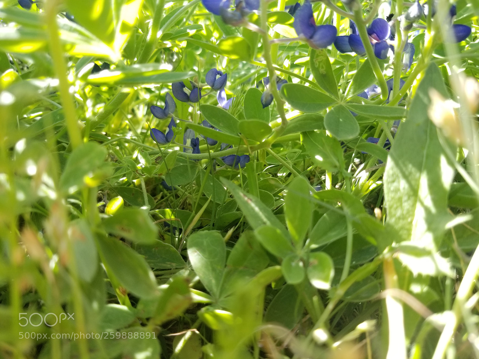 Samsung Galaxy S8+ sample photo. 20180414_152606.jpg photography