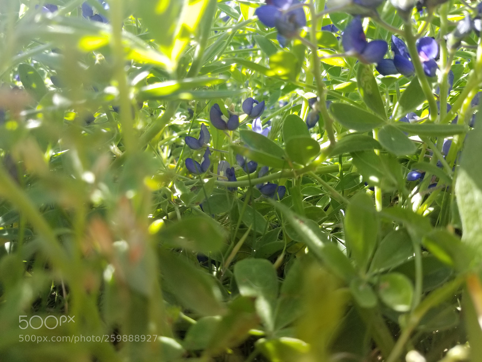 Samsung Galaxy S8+ sample photo. 20180414_152618.jpg photography
