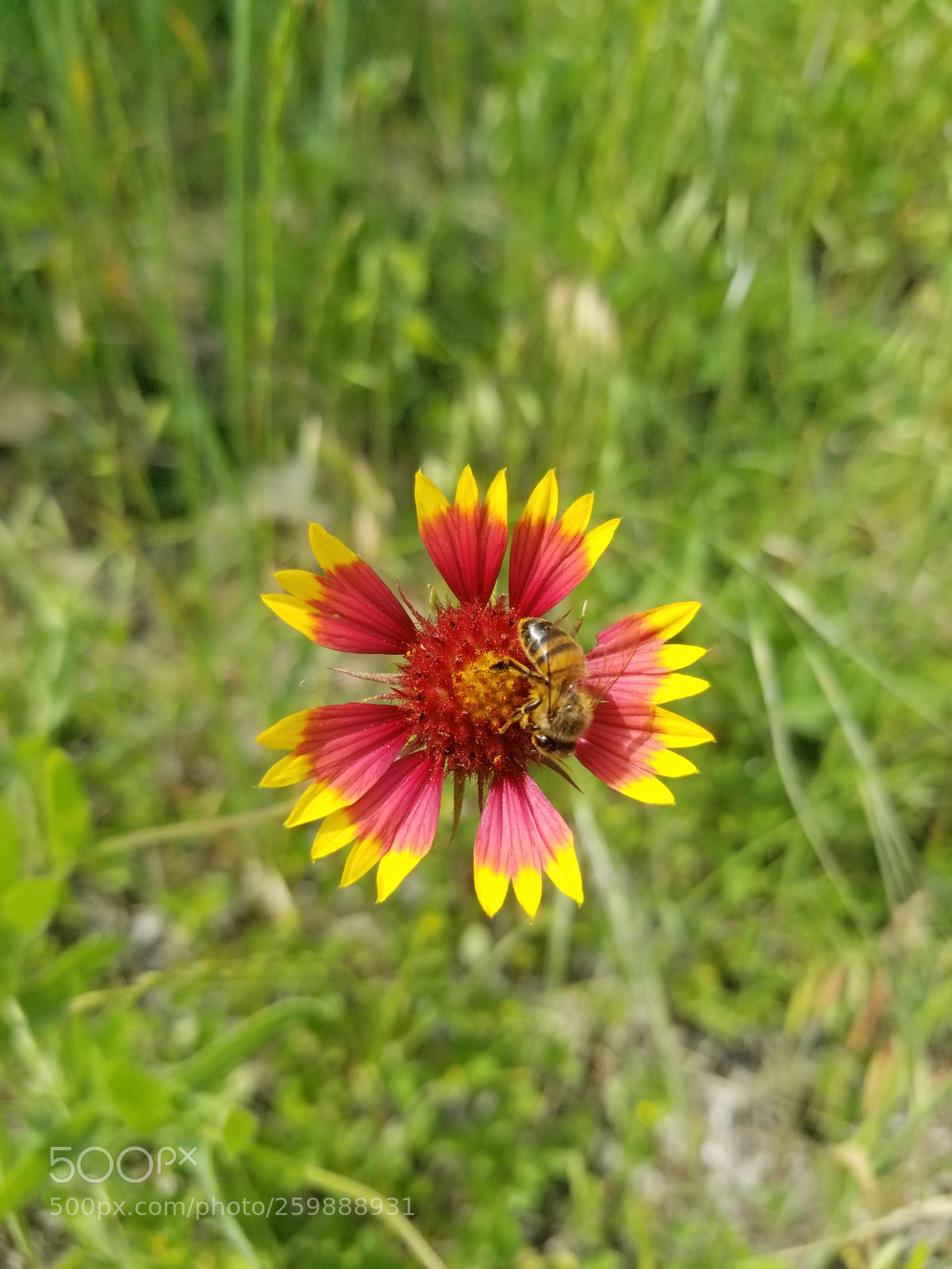 Samsung Galaxy S8+ sample photo. 20180427_152539.jpg photography