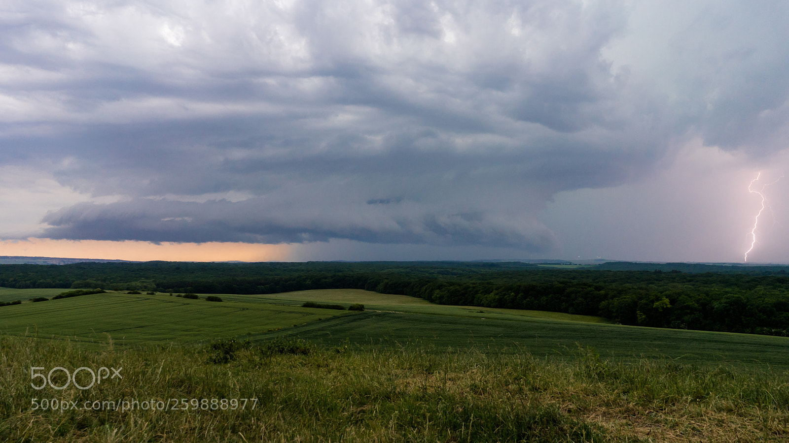 Sony a7 II sample photo. Lightning photography