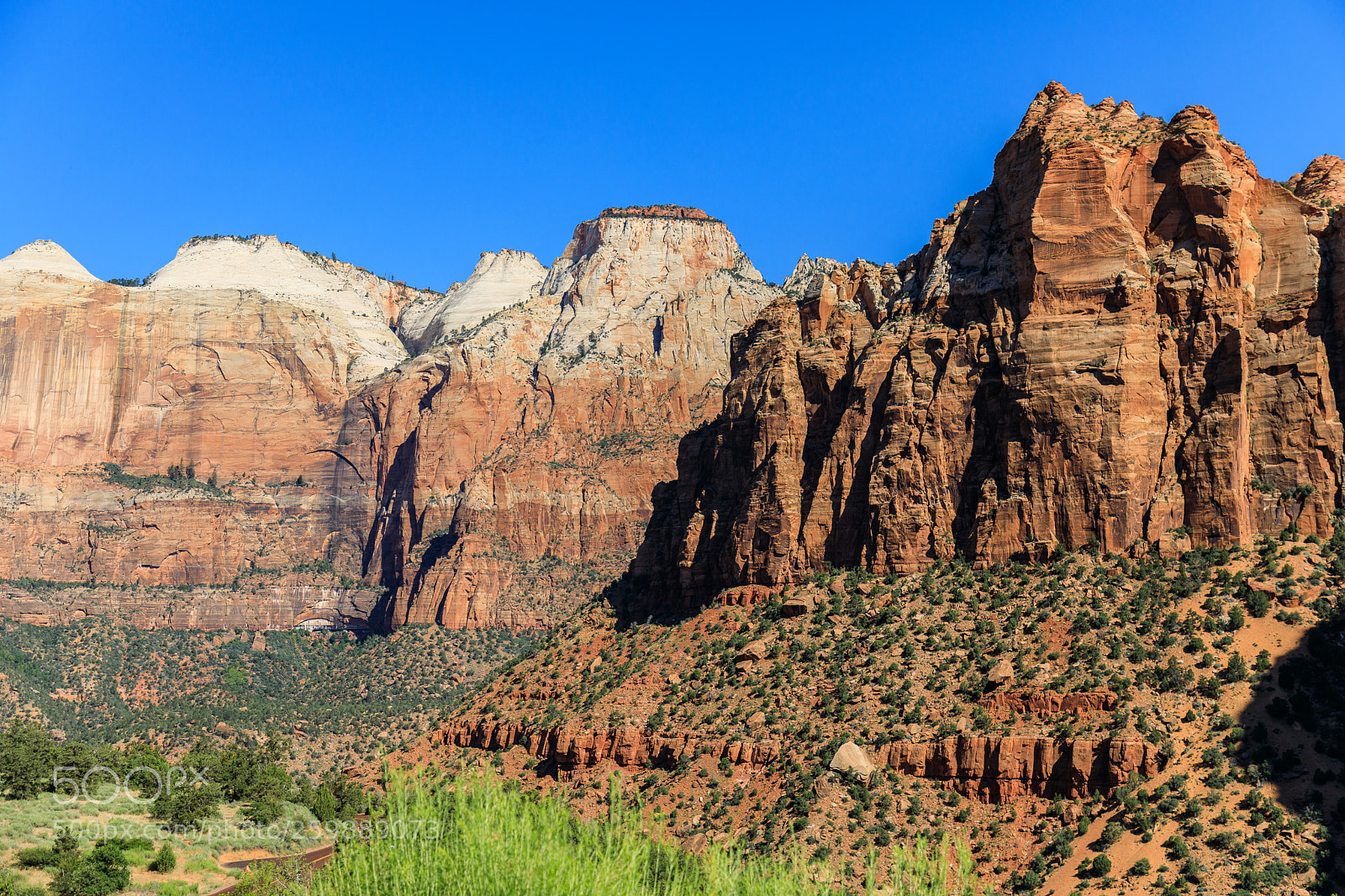 Canon EOS 5D Mark IV sample photo. Zion national park 1332 photography