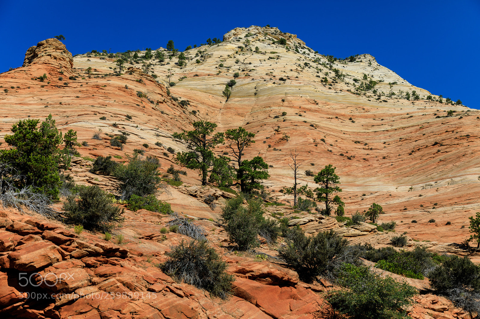 Canon EOS 5D Mark IV sample photo. Zion national park 1347 photography