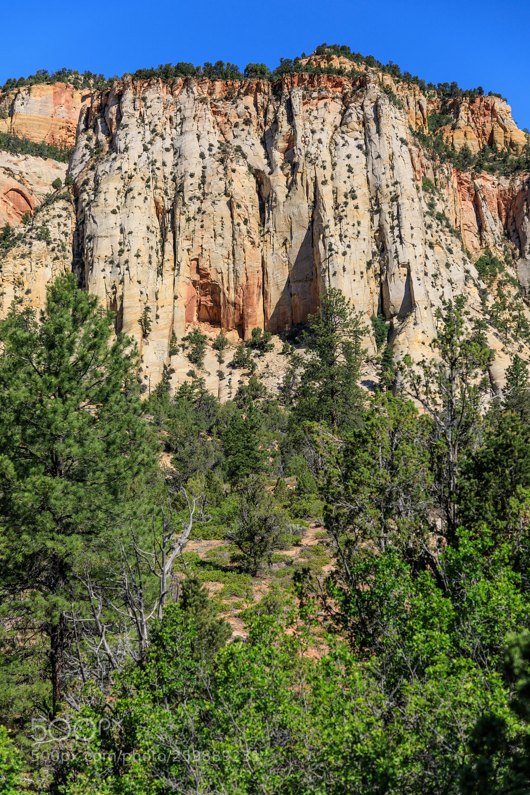 Canon EOS 5D Mark IV sample photo. Zion national park 1348 photography