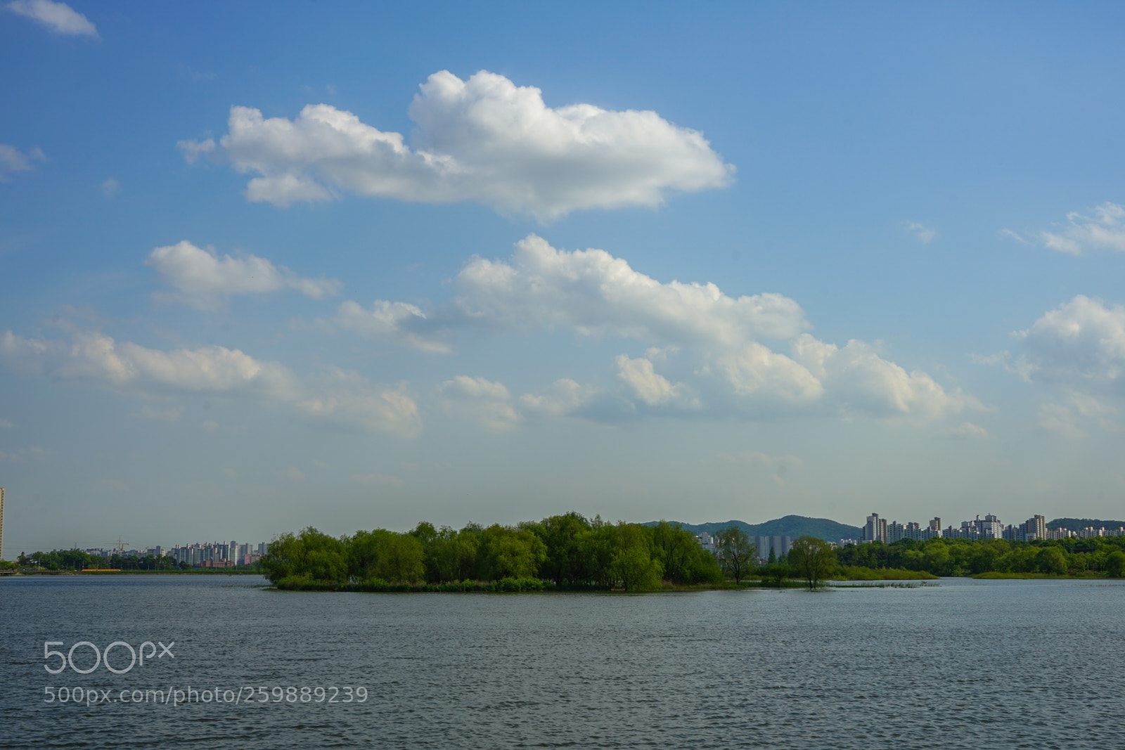 Sony a7 II sample photo. Dsc photography