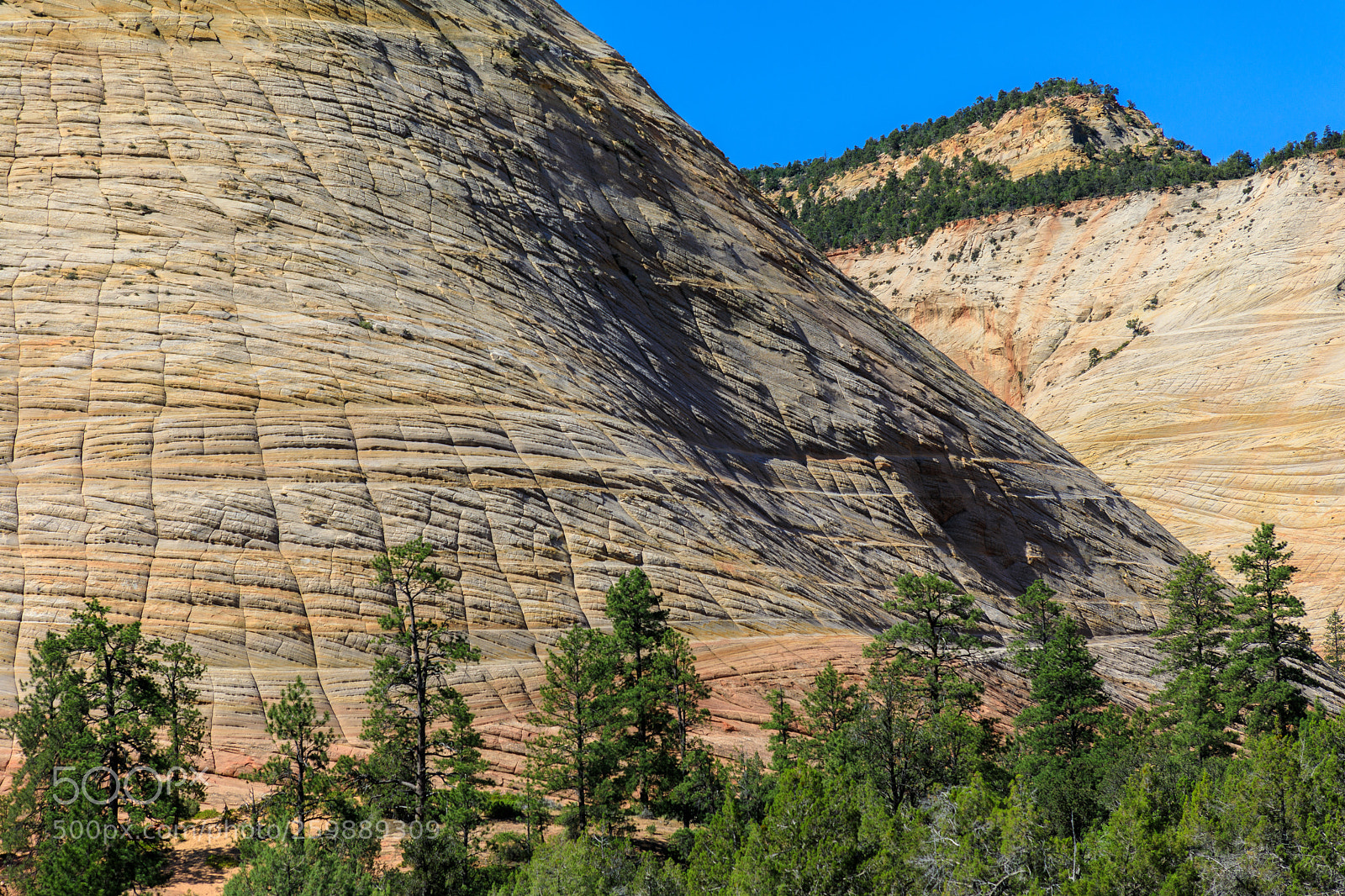 Canon EOS 5D Mark IV sample photo. Zion national park 1351 photography