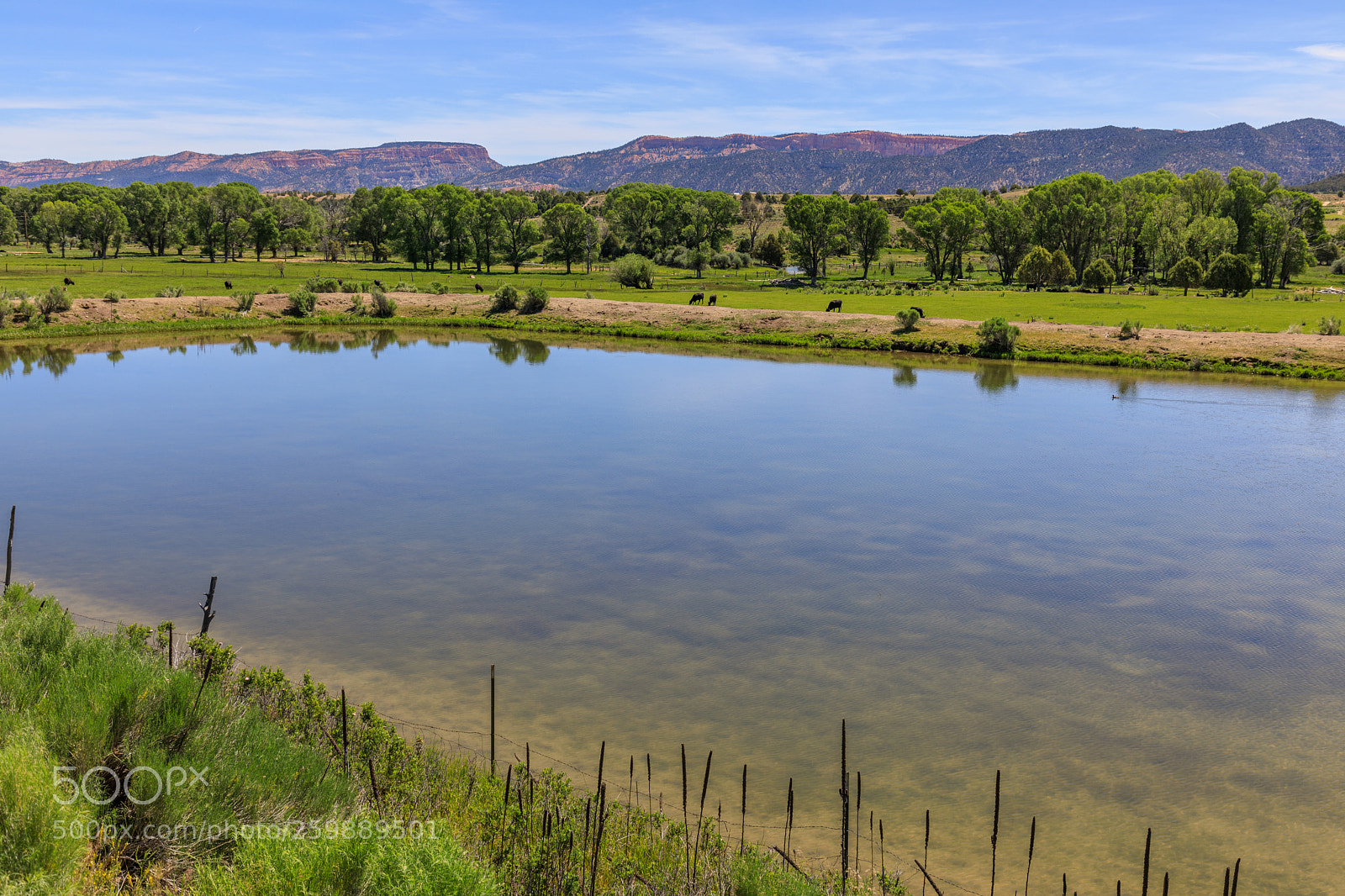 Canon EOS 5D Mark IV sample photo. Rural utah 1384 photography