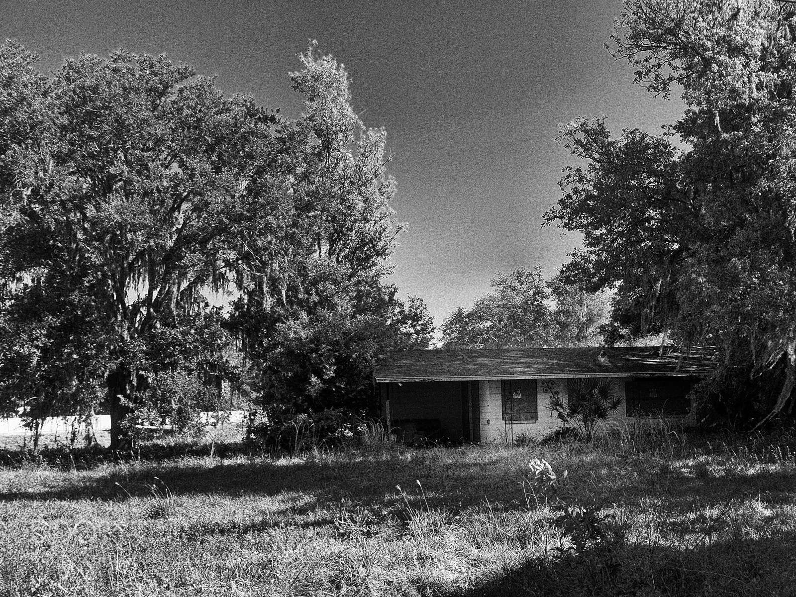 Fujifilm X-E2 sample photo. Abandoned but not forgotten photography