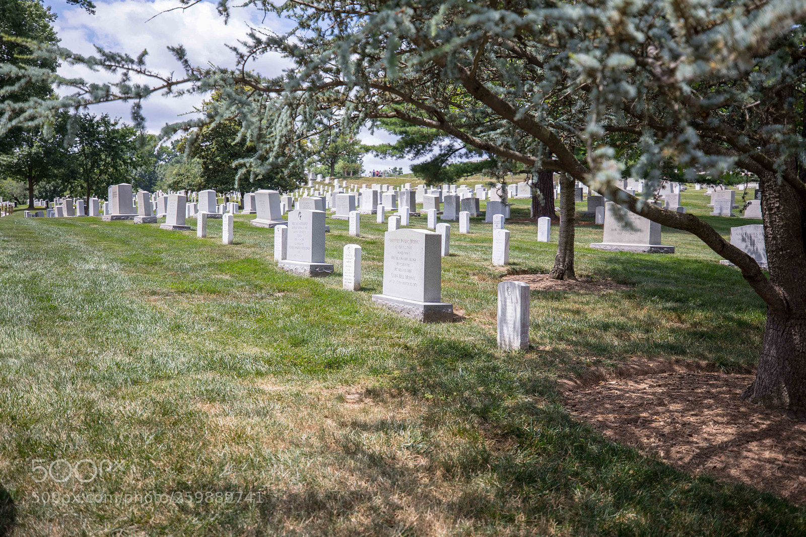 Canon EOS 5D Mark IV sample photo. Arlington national cemetery photography