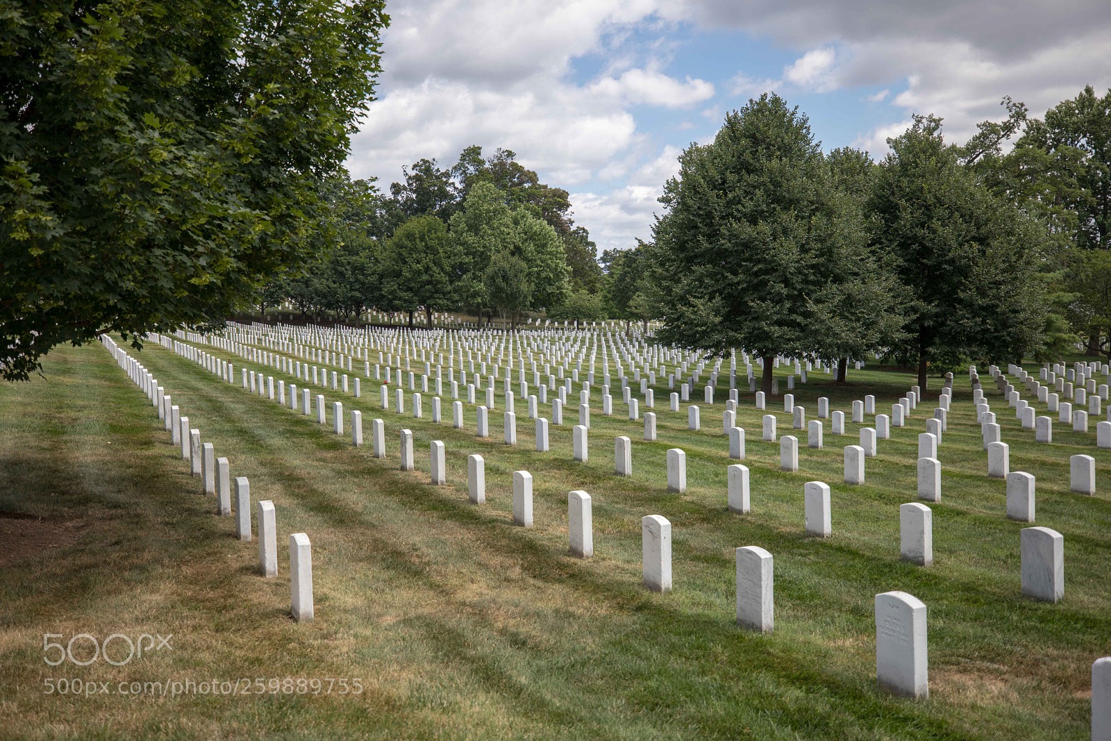 Canon EOS 5D Mark IV sample photo. Arlington national cemetery photography