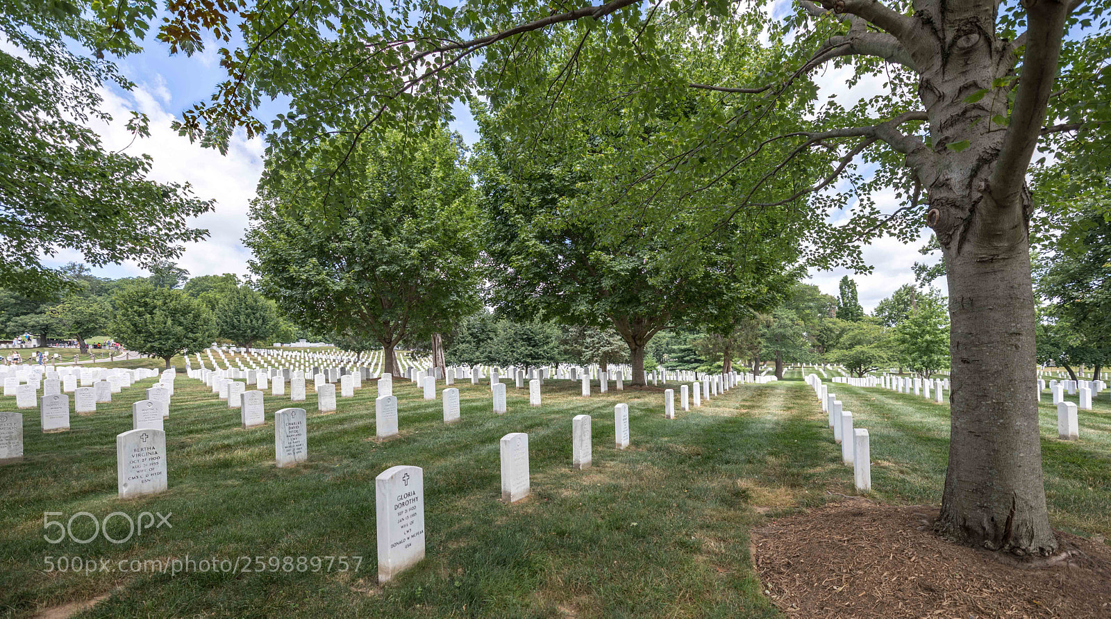 Canon EOS 5D Mark IV sample photo. Arlington national cemetery photography