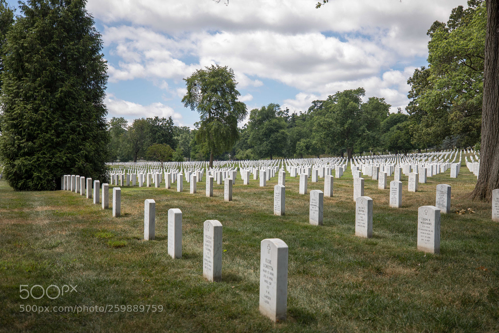 Canon EOS 5D Mark IV sample photo. Arlington national cemetery photography