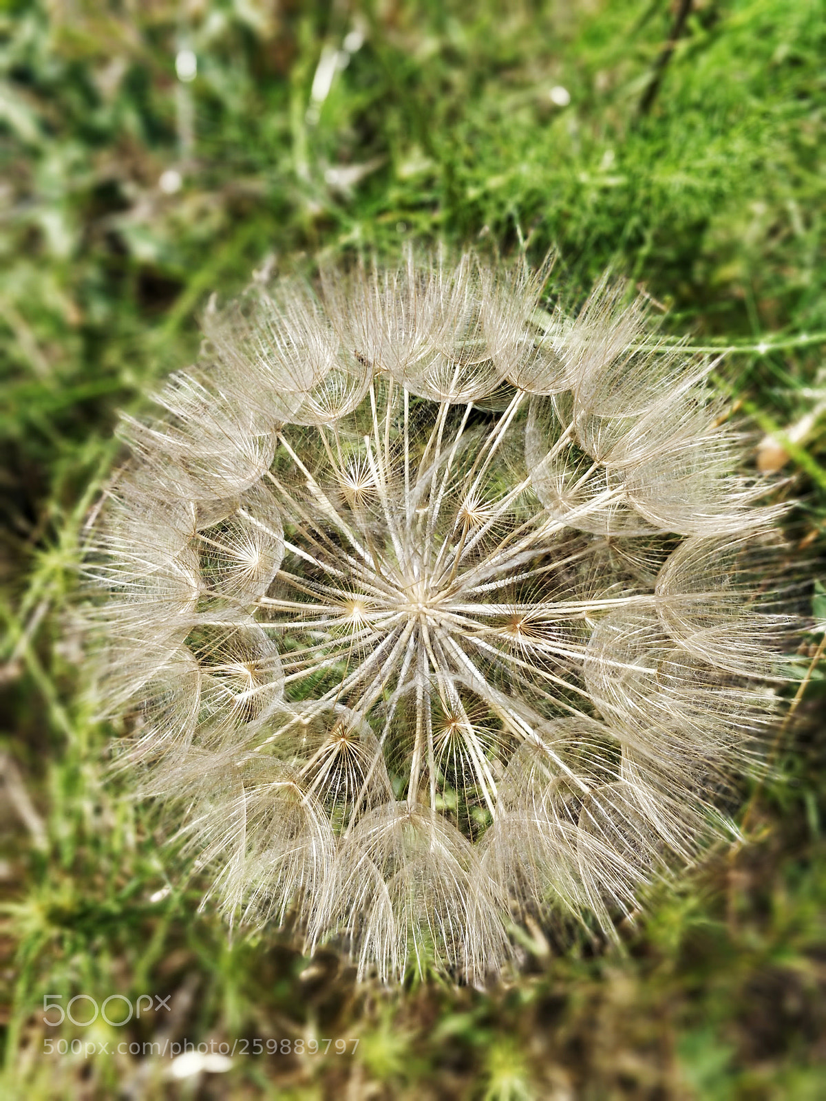 OnePlus 5 sample photo. Untitled photography