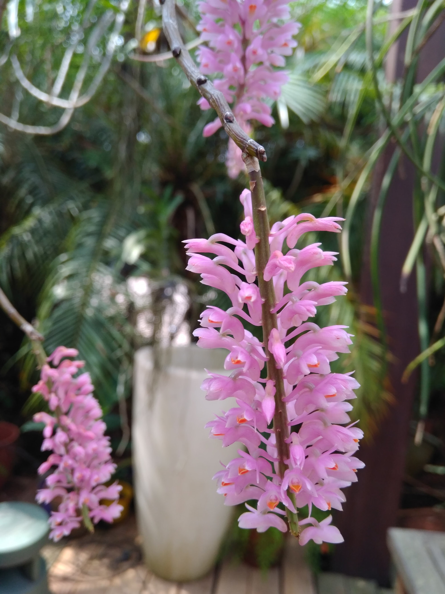 Xiaomi Redmi 4 Pro sample photo
