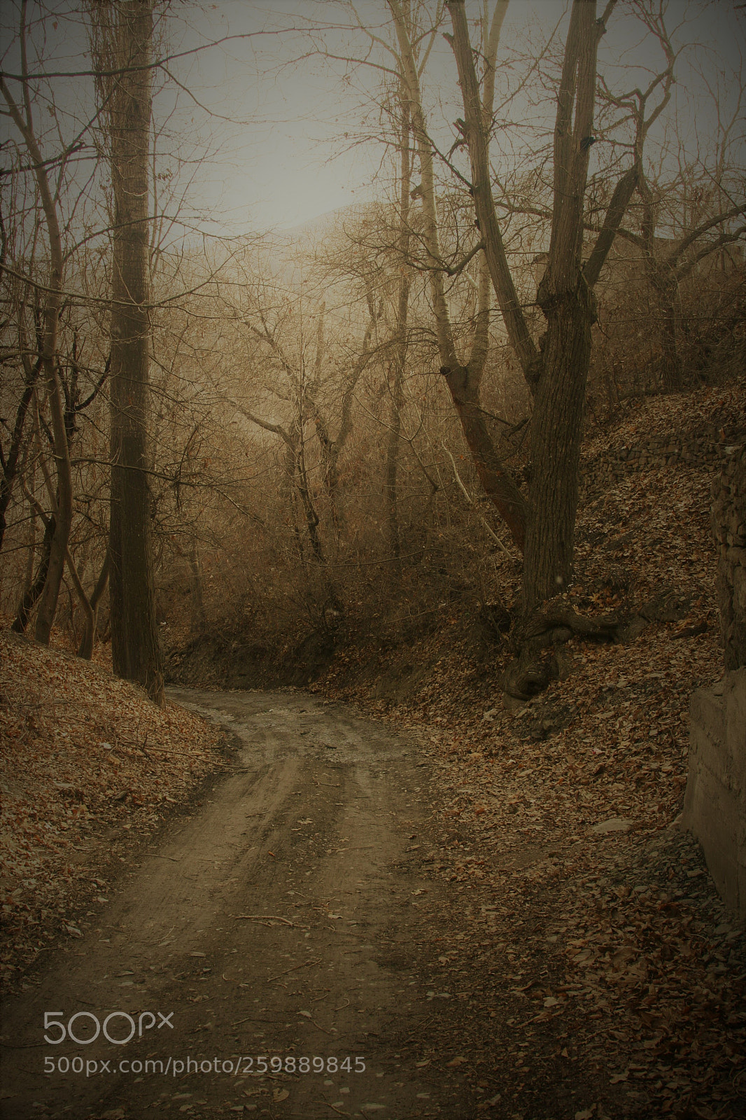 Canon EOS 30D sample photo. Fall photography
