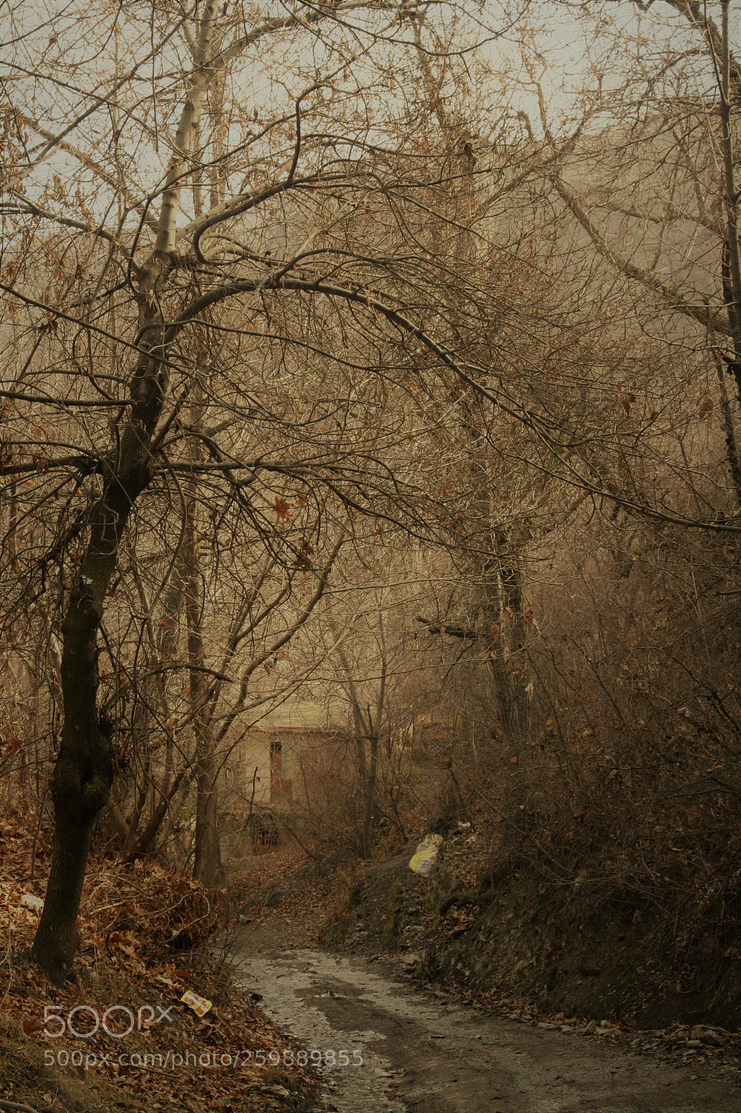 Canon EOS 30D sample photo. Fall photography