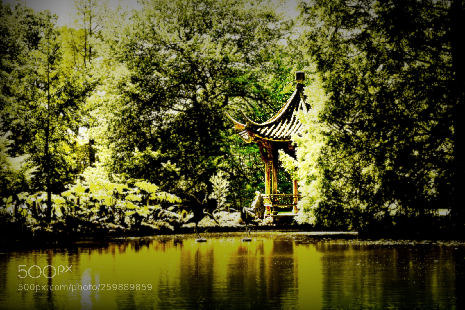 Nikon D810 sample photo. Rhs garden wisley photography