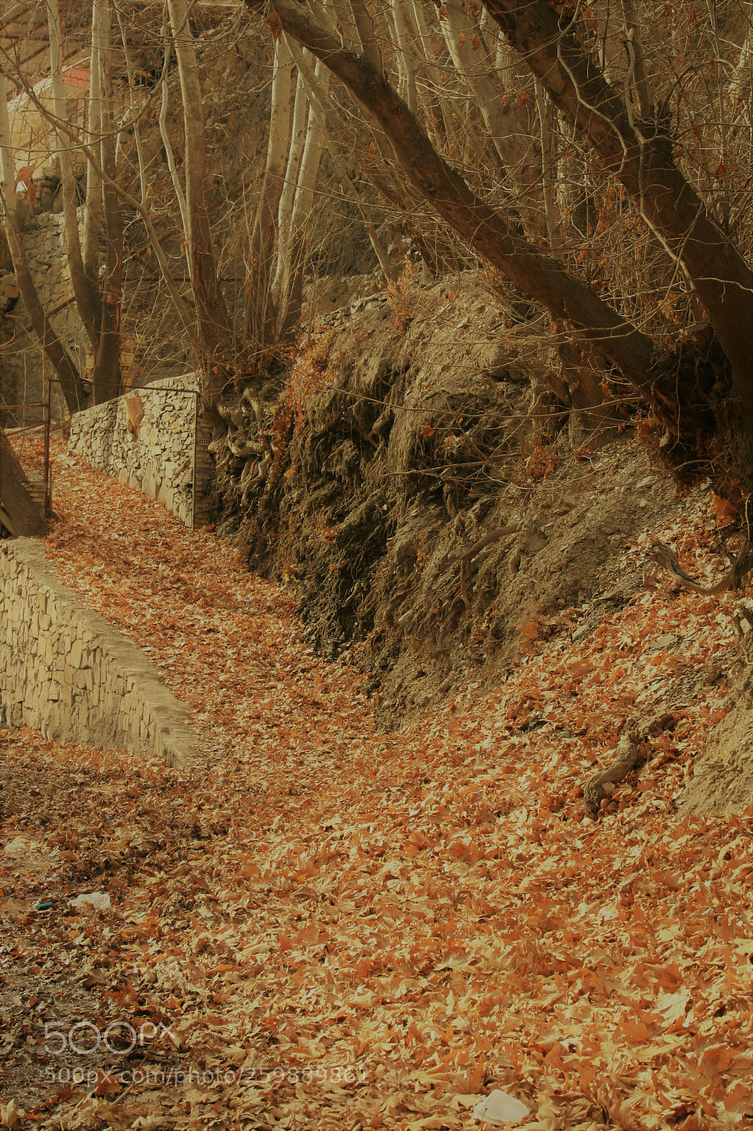 Canon EOS 30D sample photo. Fall photography
