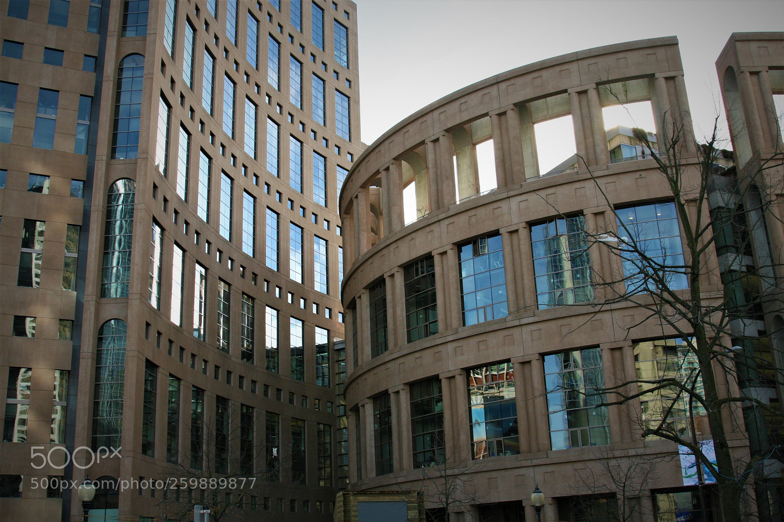 Canon EOS 30D sample photo. Library photography