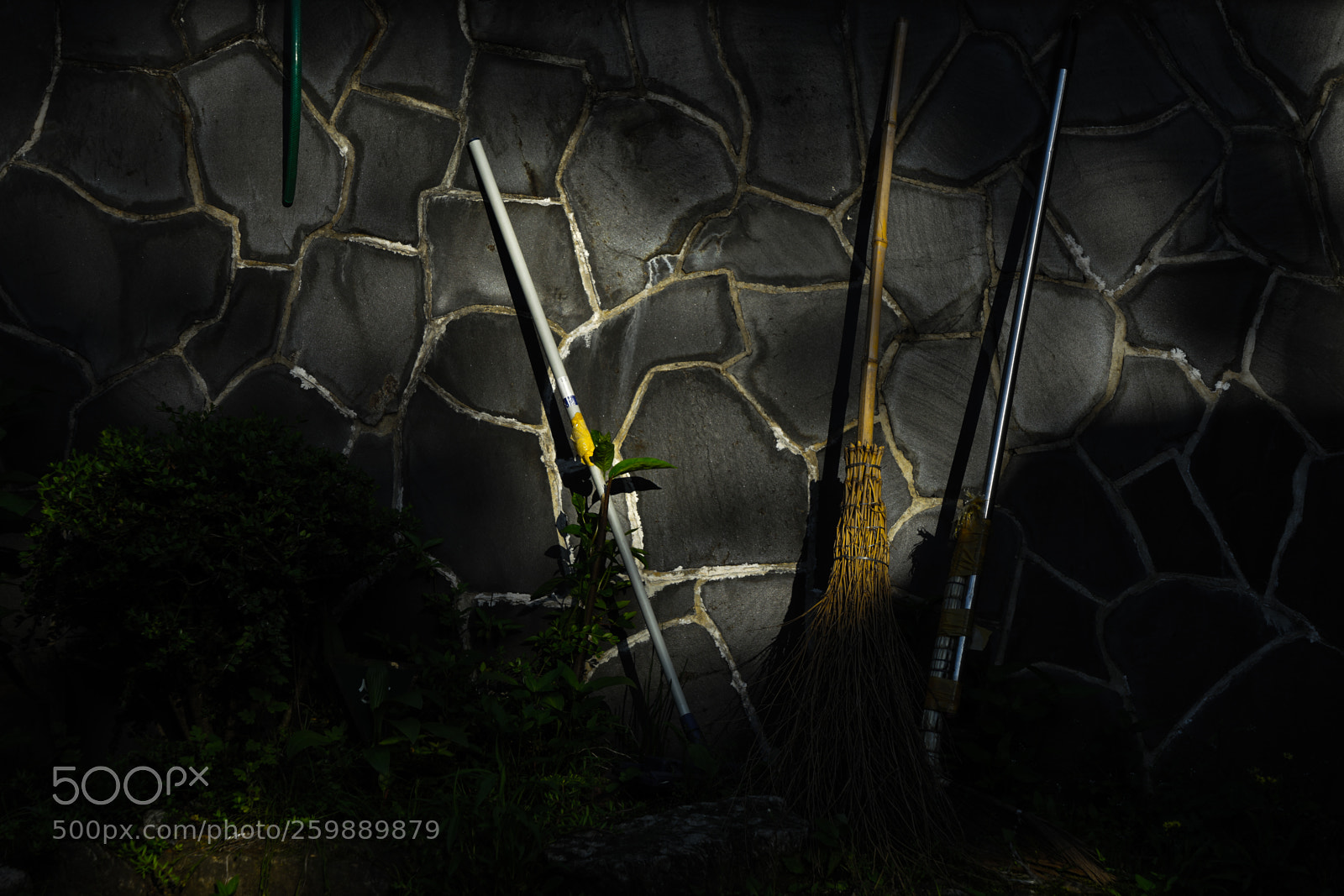 Sony a7 II sample photo. Dsc photography