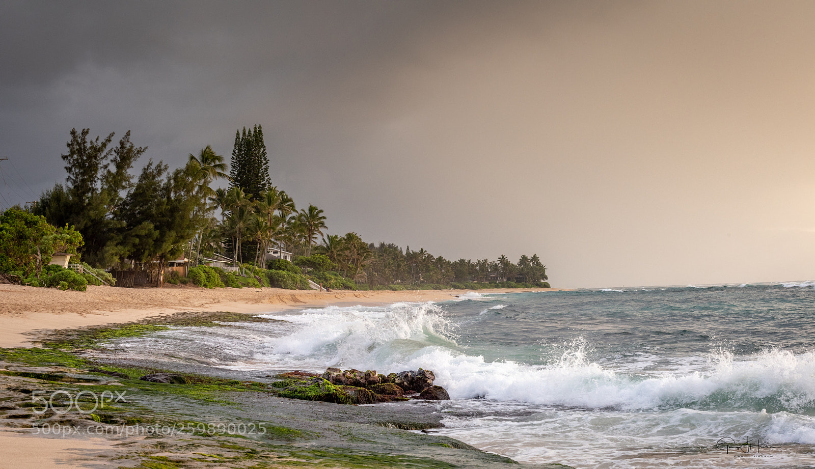 Nikon D810 sample photo. North shore oahu photography