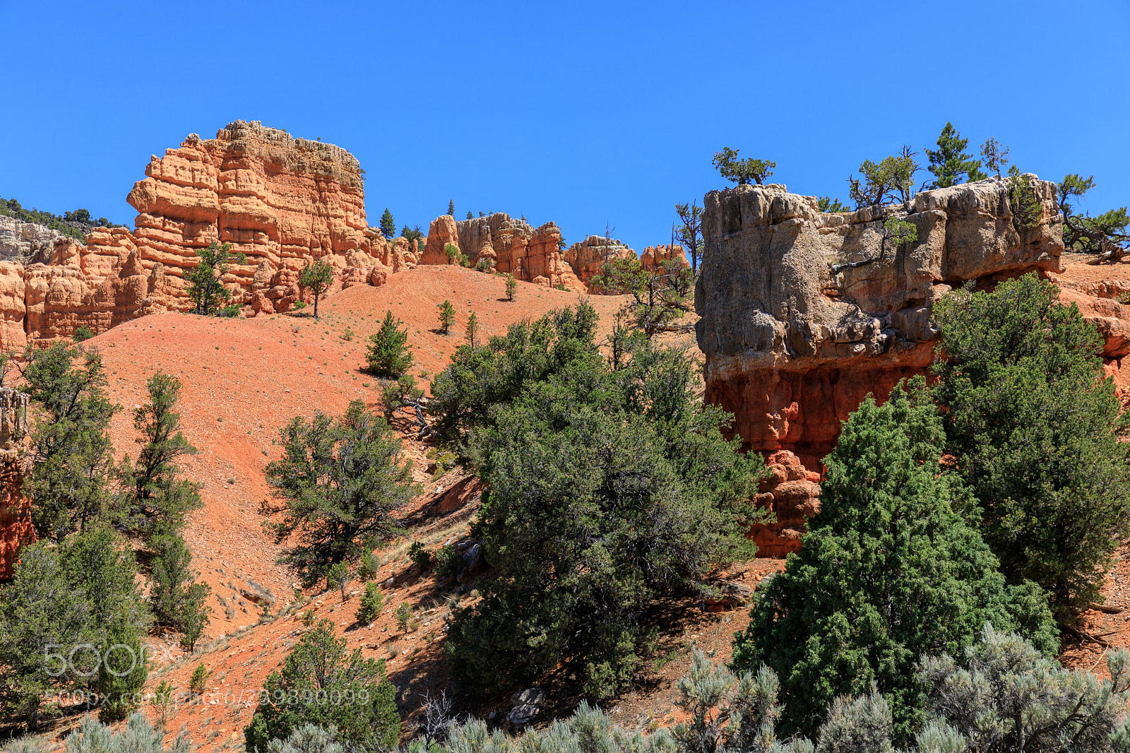 Canon EOS 5D Mark IV sample photo. Bryce canyon national park 1398 photography