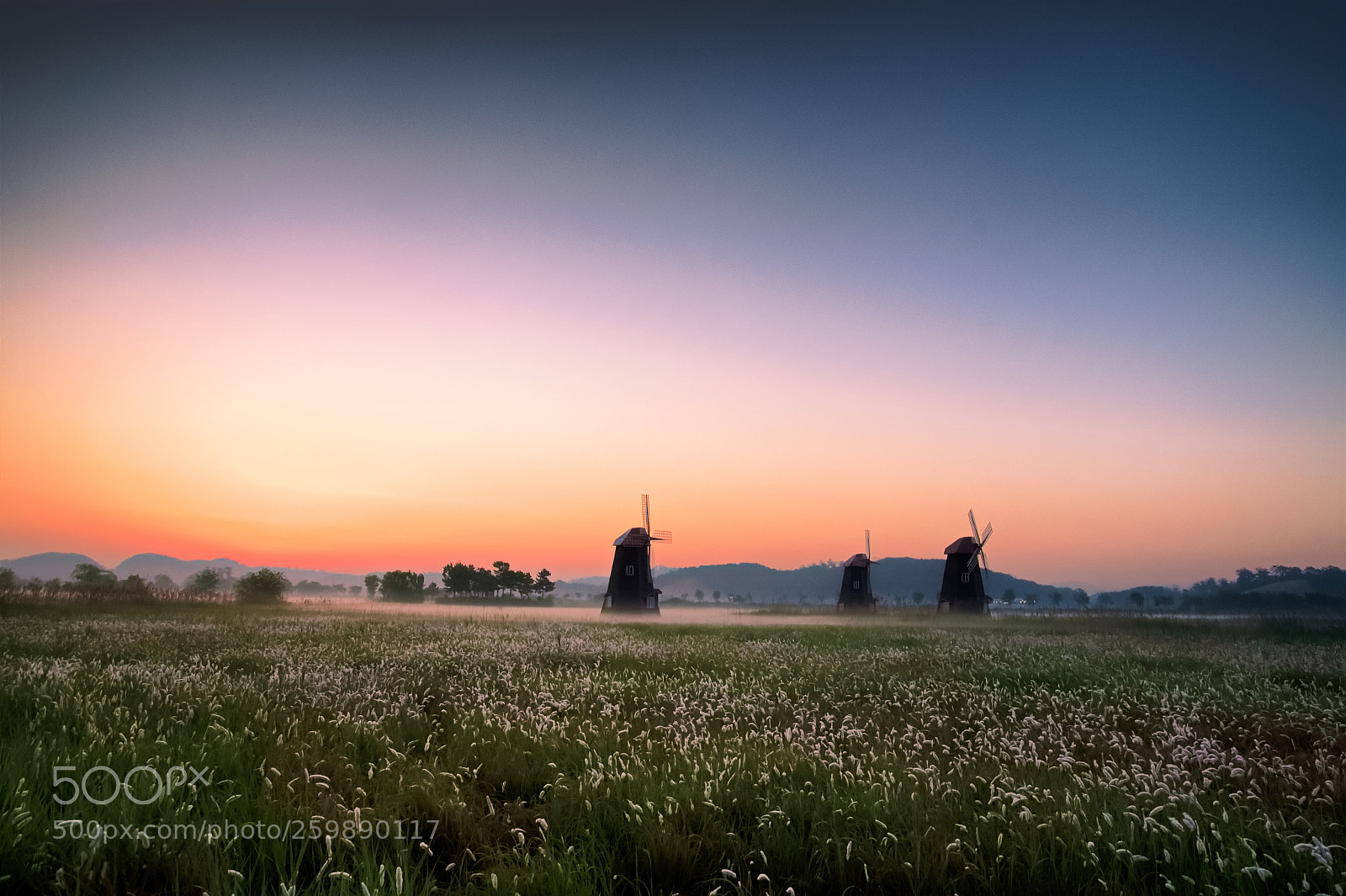 Nikon D500 sample photo. Dawn photography