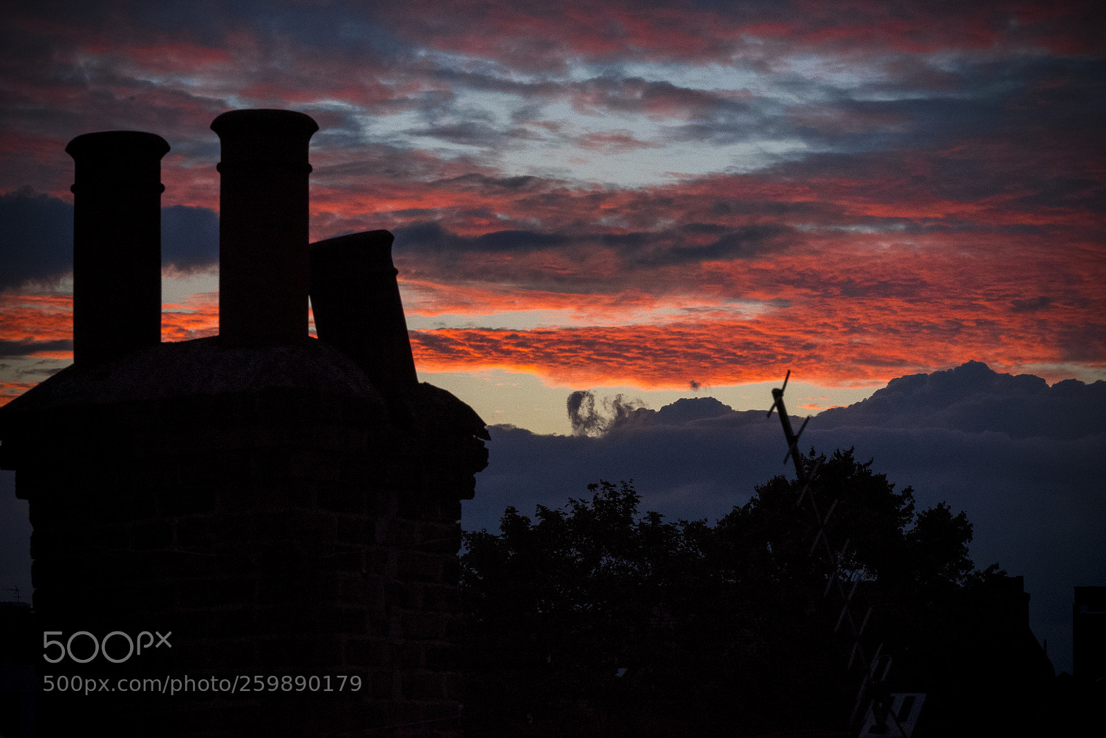 Nikon D750 sample photo. Garden, sky, chimney pots, photography