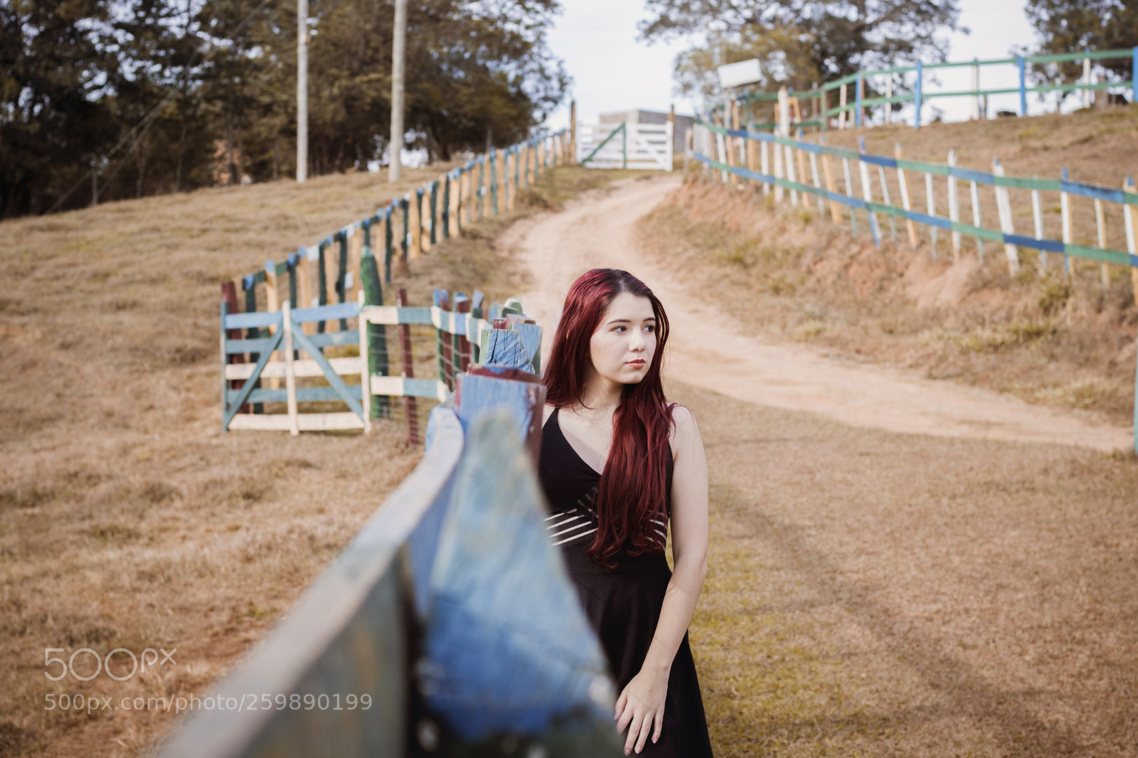 Canon EOS 750D (EOS Rebel T6i / EOS Kiss X8i) sample photo. Nayara assis photography