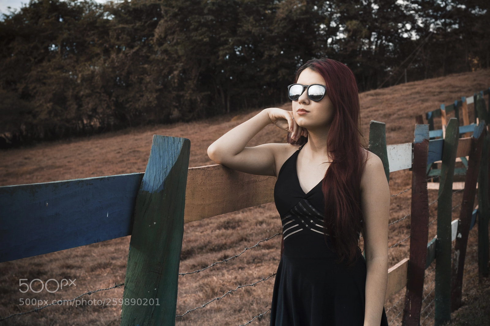 Canon EOS 750D (EOS Rebel T6i / EOS Kiss X8i) sample photo. Nayara assis photography