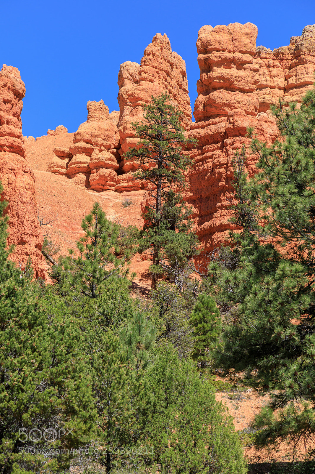Canon EOS 5D Mark IV sample photo. Bryce canyon national park 1408 photography
