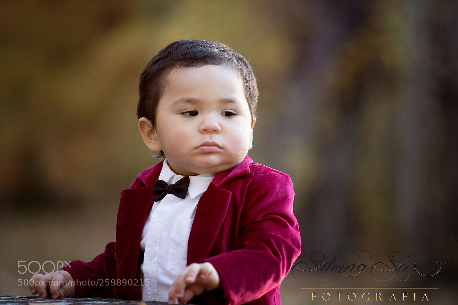 Canon EOS-1D X Mark II sample photo. Juan simon disfrutando del photography