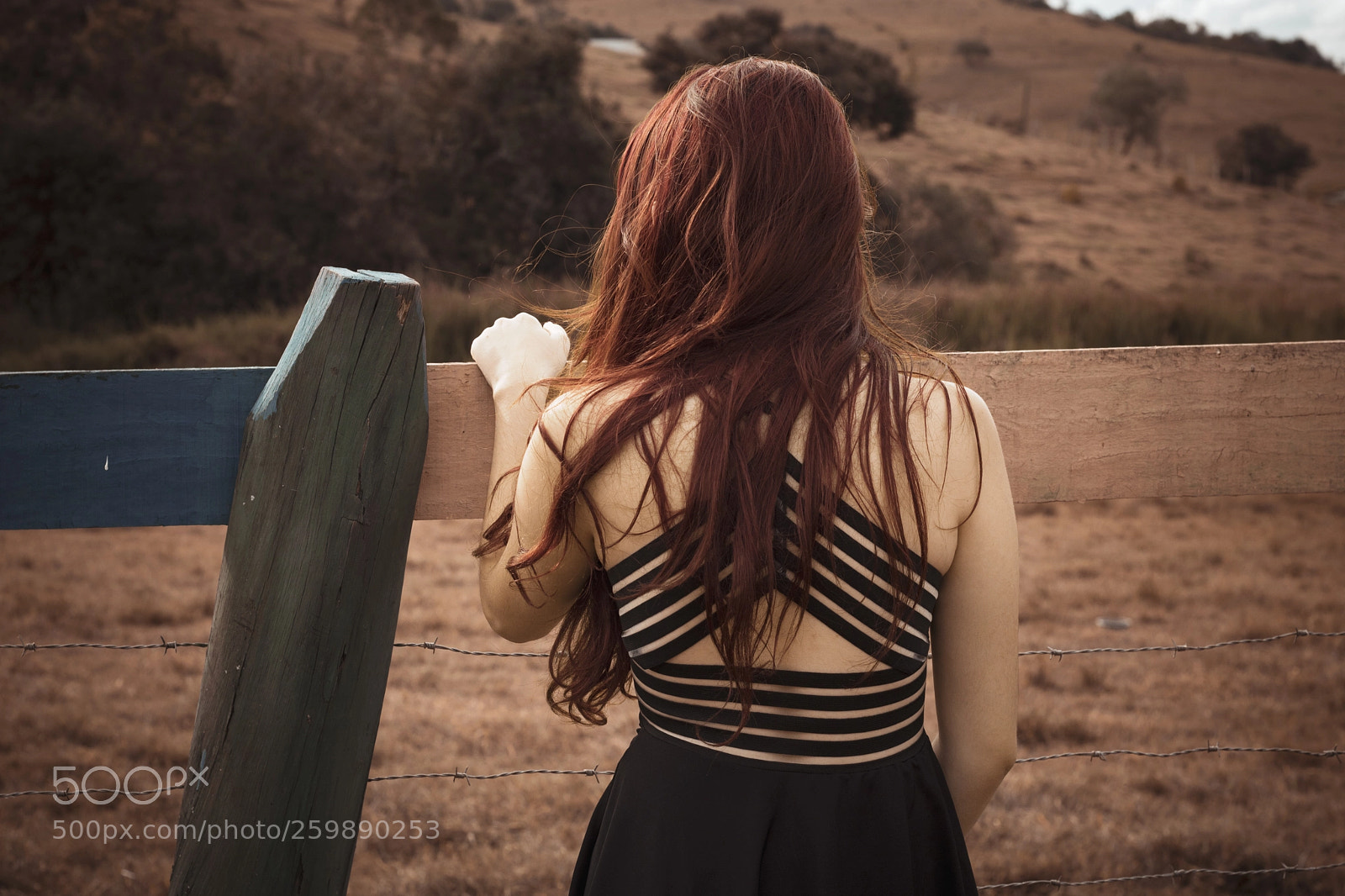Canon EOS 750D (EOS Rebel T6i / EOS Kiss X8i) sample photo. Nayara assis photography