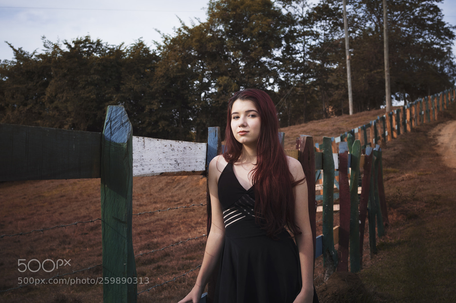 Canon EOS 750D (EOS Rebel T6i / EOS Kiss X8i) sample photo. Nayara assis photography