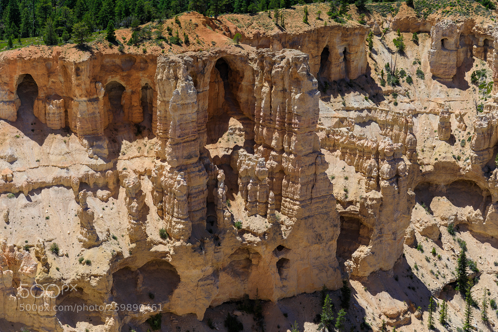 Canon EOS 5D Mark IV sample photo. Bryce canyon national park 1458 photography