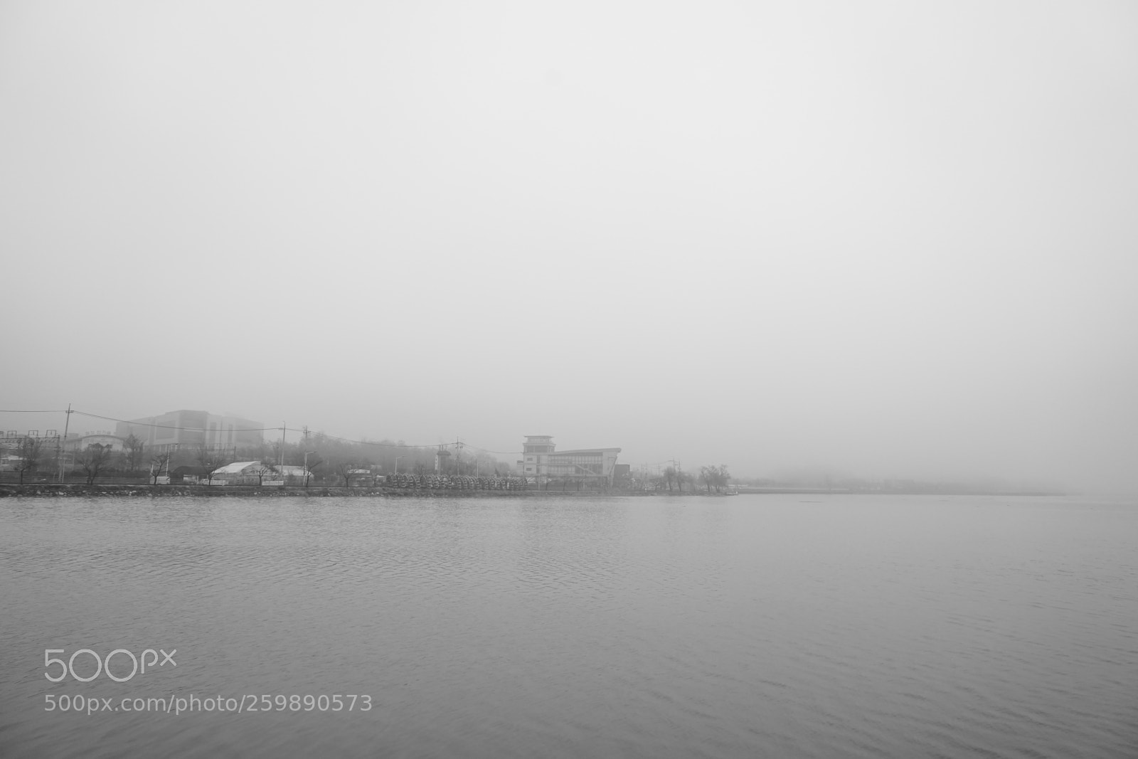 Sony a7 II sample photo. Dsc photography